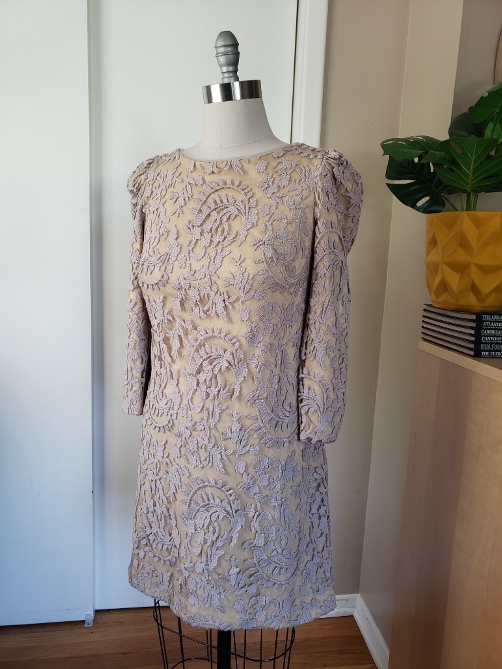 Tadashi Shoji Lace Sheath Dress Size 8